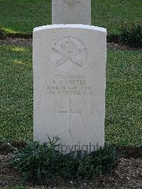 Salonika (Lembet Road) Military Cemetery - Foster, A E